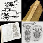 Francesco Redi - Esperienze intorno alla generazione