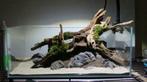 Fine sinking wood 15-25cm  - Aquarium decoratie mangrove hou, Animaux & Accessoires, Verzenden