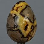 Cristaux jaunes sauvages Septaria Œuf de grands cristaux