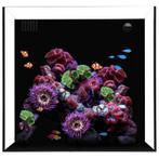 Waterbox Cube 10, Dieren en Toebehoren, Vissen | Aquaria en Toebehoren, Verzenden, Nieuw