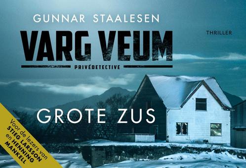 Varg Veum - Grote zus 9789049807306, Boeken, Thrillers, Gelezen, Verzenden