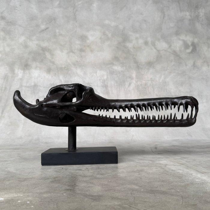 sculptuur, Brown Gharial Crocodile Skull, on custom stand -, Antiquités & Art, Art | Objets design