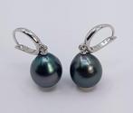 Oorbellen - 14 karaat Witgoud - 10x11mm Tahitiaanse parels, Nieuw
