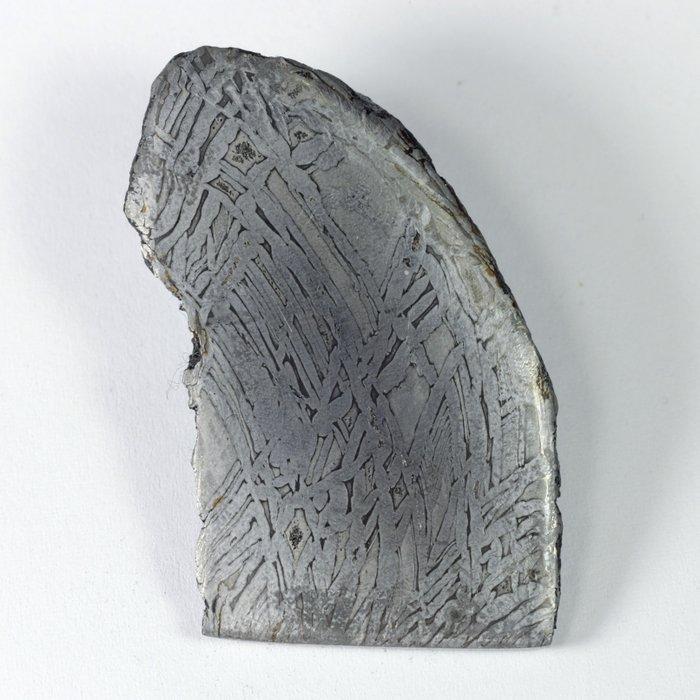 Aletai Geen minimumprijs IJzer meteoriet - 24.6 g, Collections, Minéraux & Fossiles