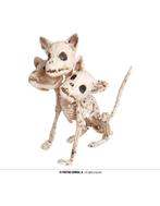 skelet hond 3 koppen 34 cm, Nieuw, Ophalen of Verzenden