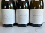 2019 Domaine Vacheron Le Paradis - Sancerre - 3 Flessen, Verzamelen, Wijnen, Nieuw