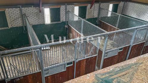 2dehands Paardenstallen / Paardenboxen | RUIM AANBOD, Dieren en Toebehoren, Stalling en Weidegang, Opfok, Stalling, Weidegang