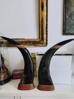 sculptuur, Corna di bufalo intagliate - 50 cm - Hoorn - 1980, Antiek en Kunst
