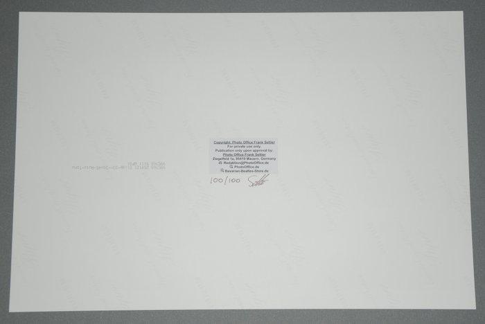 F. Seltier - Angus Young, Bon Scott, Cliff Williams AC/DC, Antiquités & Art, Art | Objets design