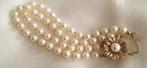 Armband - 14 karaat Geel goud - Handgeknoopte parels, Handtassen en Accessoires, Armbanden, Nieuw