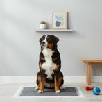 vidaXL Hondentrainingspad Effen 50 pcs 120 x 80 cm, Dieren en Toebehoren, Verzenden, Nieuw