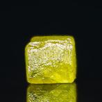 FANCY Radiant Yellow Diamond • Geen veilingreserve •