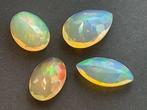 4 pcs Geel, Oranje Opaal - 4.64 ct - Antwerp Laboratory for, Nieuw