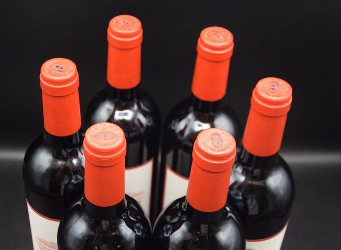 2020 Petra, Hebo - Toscane - 6 Bouteilles (0,75 L), Verzamelen, Wijnen
