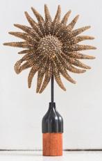 Étoile de mer girasol. Support de corps entier pour, Nieuw