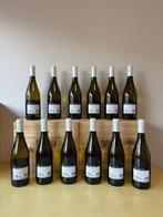 2024 x6 Sauvignon & 2024 x6 Chardonnay, Volpe Pasini -, Nieuw