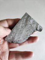 Aletai meteoriet IJzer meteoriet - Hoogte: 74.1 mm -, Verzamelen, Mineralen en Fossielen