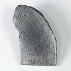 Aletai Geen minimumprijs IJzer meteoriet - 24.6 g