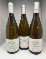 2019 Domaine Jean Marc Vincent Montagny 1° Cru, Auxey, Nieuw
