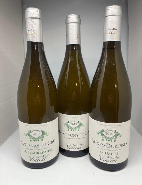 2019 Domaine Jean Marc Vincent Montagny 1° Cru, Auxey, Verzamelen, Wijnen