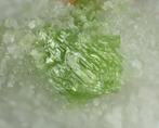 Zeldzame Pargasite groene kristallen Op Marmeren Matrix -