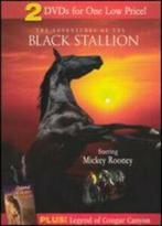 Black Stallion & Legend of Cougar Canyon DVD, Zo goed als nieuw, Verzenden