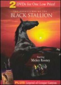 Black Stallion & Legend of Cougar Canyon DVD, Cd's en Dvd's, Dvd's | Overige Dvd's, Zo goed als nieuw, Verzenden