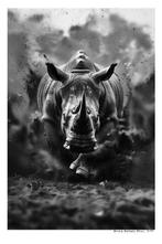 Arnold Mariashin - Rhino - XL - No reserve, Antiek en Kunst