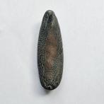 West-Aziatisch Brons Slang Koning Cobra Talisman - 21�33�98