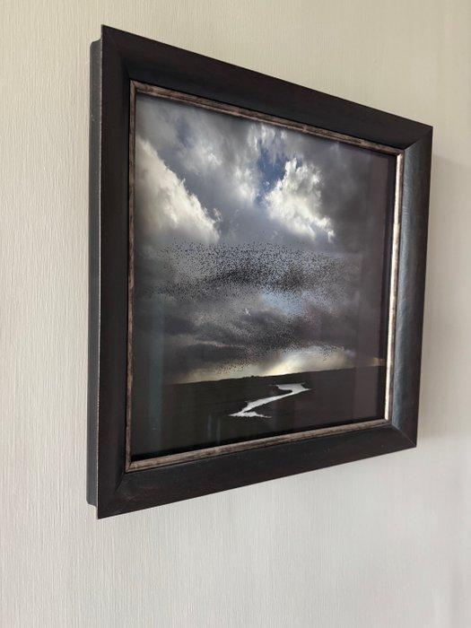 Saskia Boelsums - Landcape# 22, Antiek en Kunst, Kunst | Designobjecten