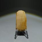 Oud-Egyptisch Steen Lithisch hulpmiddel. Laat-neolithicum -