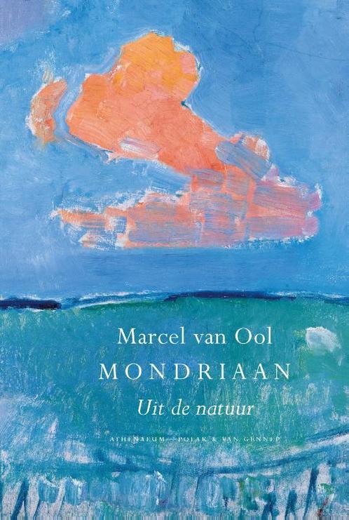 Mondriaan 9789025307981, Livres, Art & Culture | Arts plastiques, Envoi