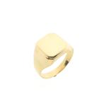 Gouden zegelring | Heren (herenring, gouden ring, geelgoud), Handtassen en Accessoires, Ringen, Gebruikt, Overige kleuren, 20 of groter