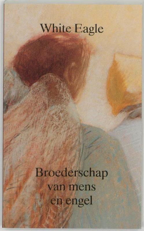 Broederschap van mens en engel / De kosmische mens, Boeken, Esoterie en Spiritualiteit, Zo goed als nieuw, Verzenden