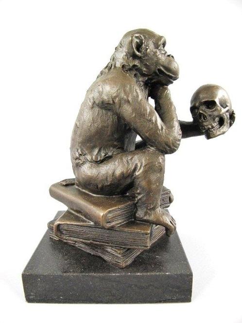 Singe avec Crâne signé RODIN et sceau de qualité Crâne -, Verzamelen, Dierenverzamelingen