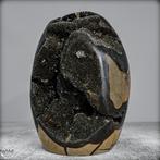 Zeer decoratieve septarien Druzen, met Calcietkristallen-, Verzamelen, Mineralen en Fossielen