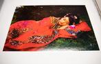 Viet Ha Tran - Xian: Myths of the Beauties, Wang Zhaojun