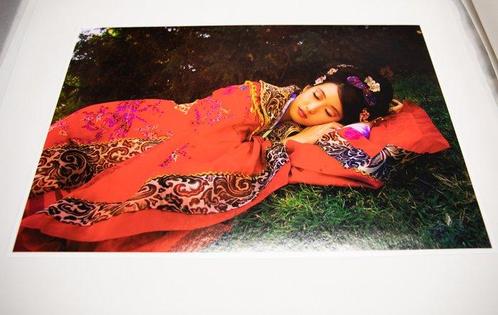 Viet Ha Tran - Xian: Myths of the Beauties, Wang Zhaojun, Antiek en Kunst, Kunst | Schilderijen | Modern