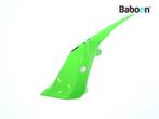 Kontpaneel Links Kawasaki NINJA 250 SL 2015-2016 (BX250A+B), Motoren, Verzenden, Gebruikt