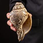 Heilige Tibetaanse Conches: Shankha. Zeeschelp - Hand-Carved, Nieuw