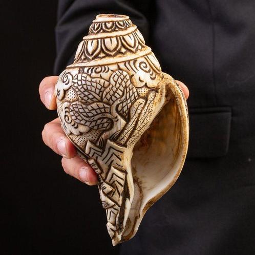 Heilige Tibetaanse Conches: Shankha. Zeeschelp - Hand-Carved, Verzamelen, Dierenverzamelingen