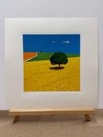 Giò Mondelli (1953) - Sole destate