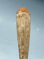 Heilig en gebruikte stierbrul, de stem van de voorouders -