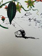 Salvador Dali (1904-1989) - Passion Flower-Limited Edition