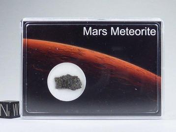 NWA 12564 - Tranche de shergottite de météorite martienne -