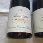 2017 Domaine Chantal Lescure Les Bertins - Pommard 1er Cru, Nieuw