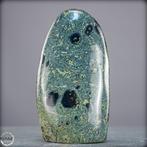 Natuurlijke Kambaba-vrije vorm Het groene fossiel van het