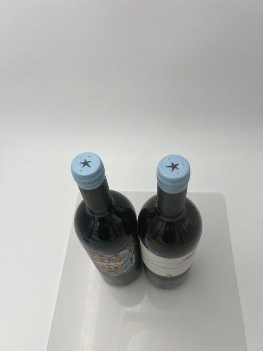 2010 Domenico Clerico, Aeroplanservaj - Barolo - 2 Flessen, Verzamelen, Wijnen