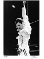 David Hogan - Portrait Of Freddie Mercury Of Queen 1986