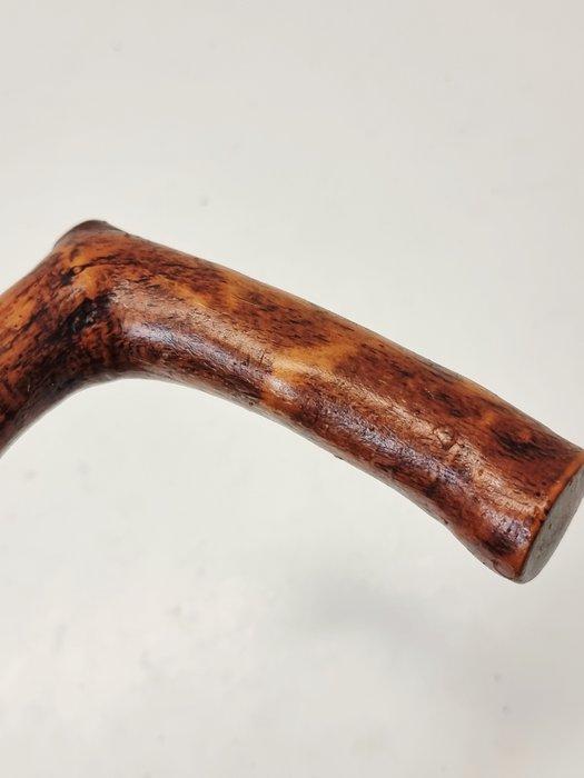 Wandelstok - Hout, Antiek en Kunst, Antiek | Overige Antiek